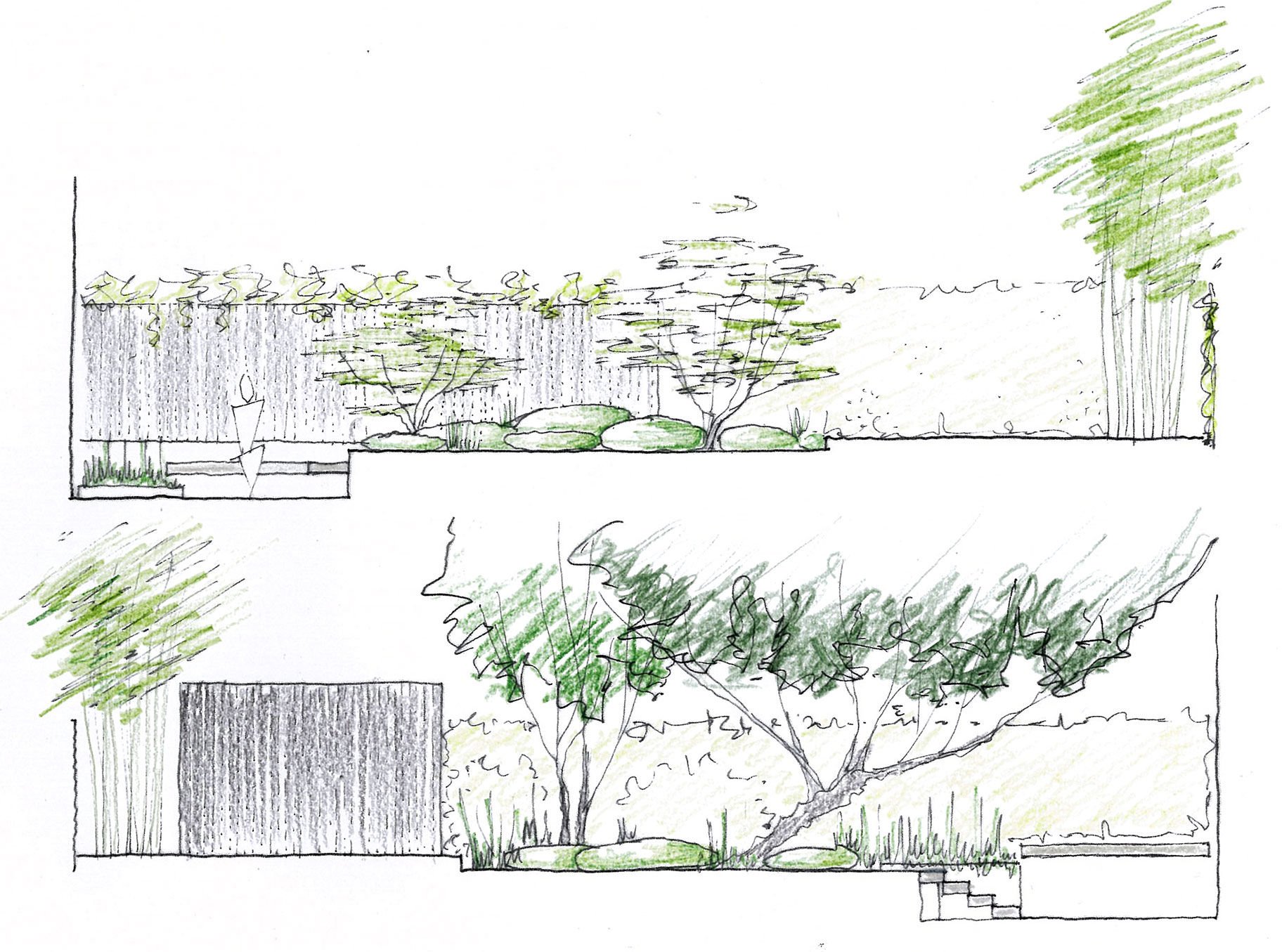 Proposal drawing for South London Garden by James Aldridge Landscape and Garden Design