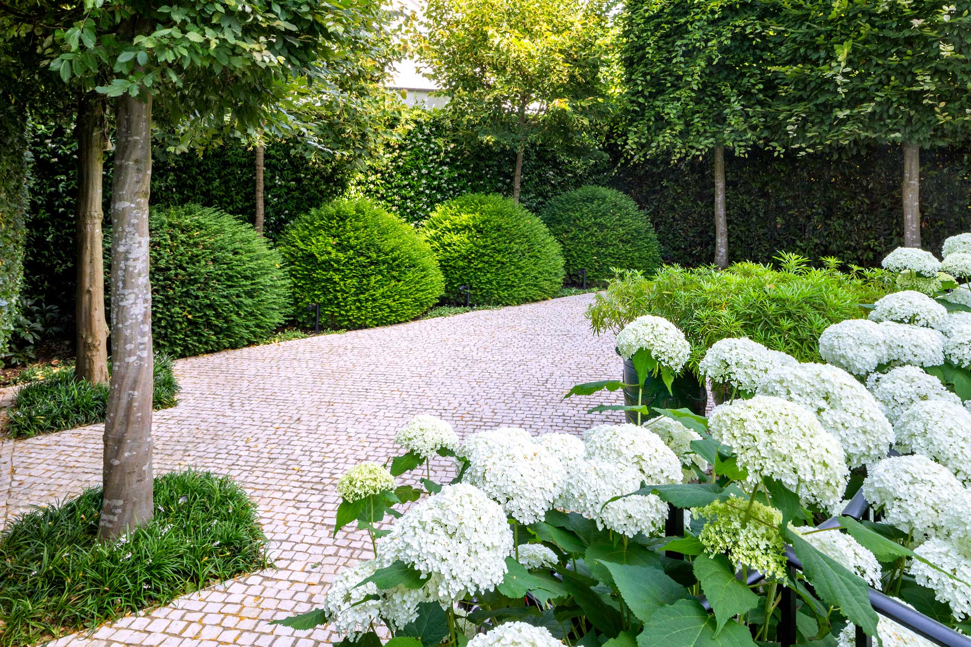 Chelsea Garden Design by James Aldridge