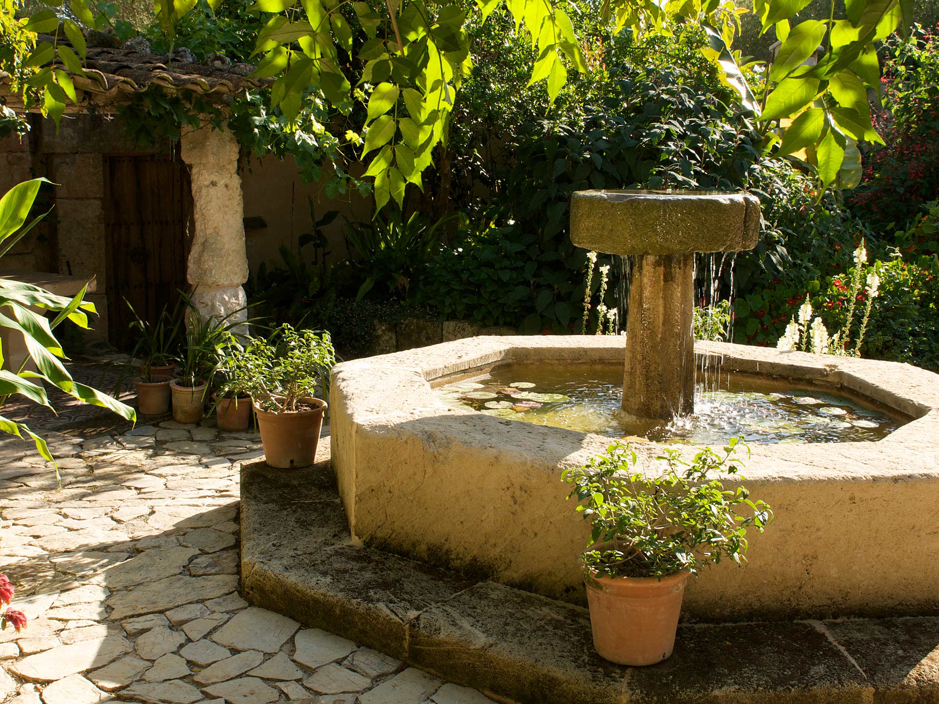 fountain and pool in Mallorcan Garden - James Aldridge Landscape and Garden Design
