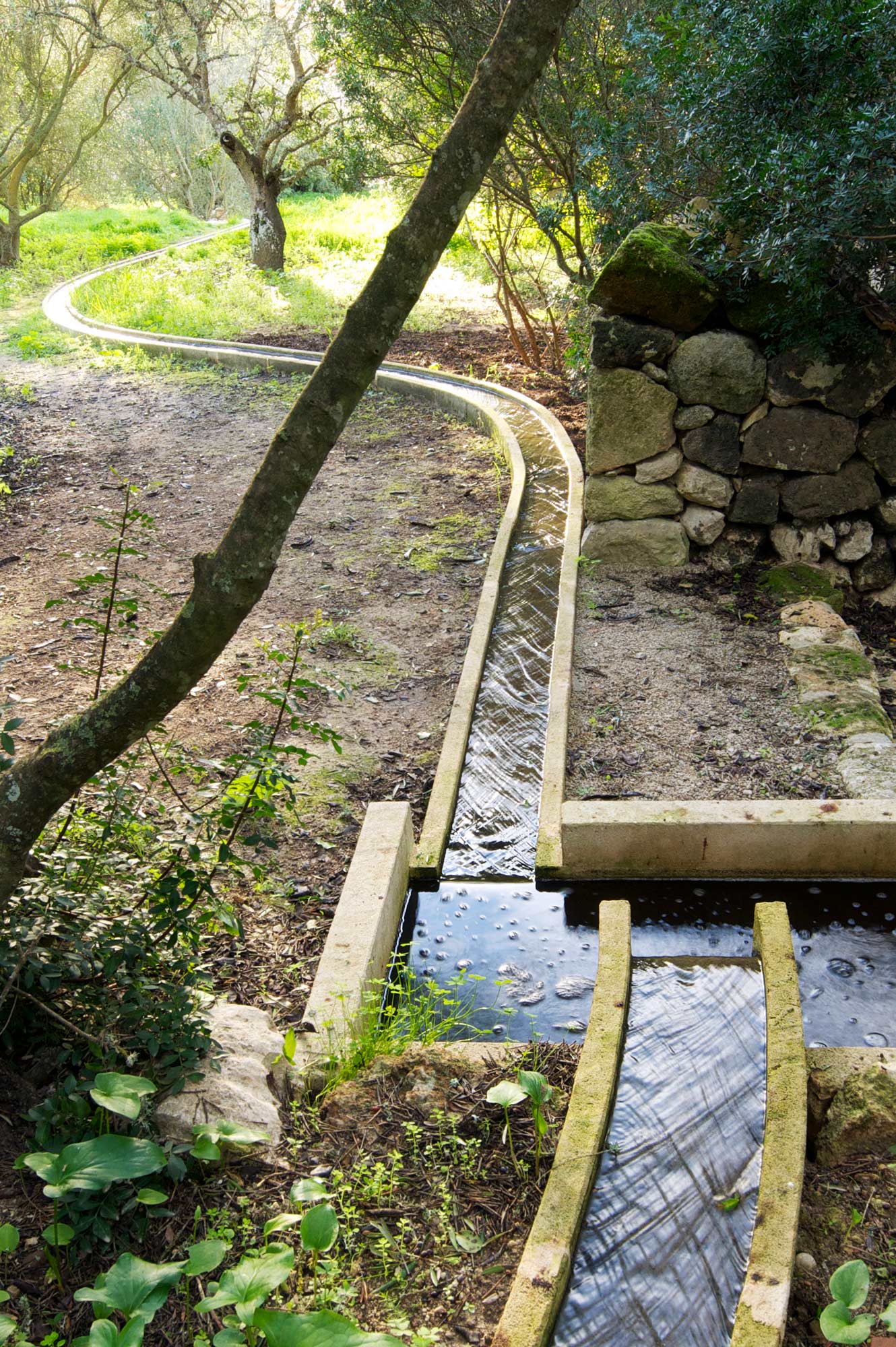 Dramatic 100meter long limestone rill in a Mallorca garden - James Aldridge Landscape and Garden Design