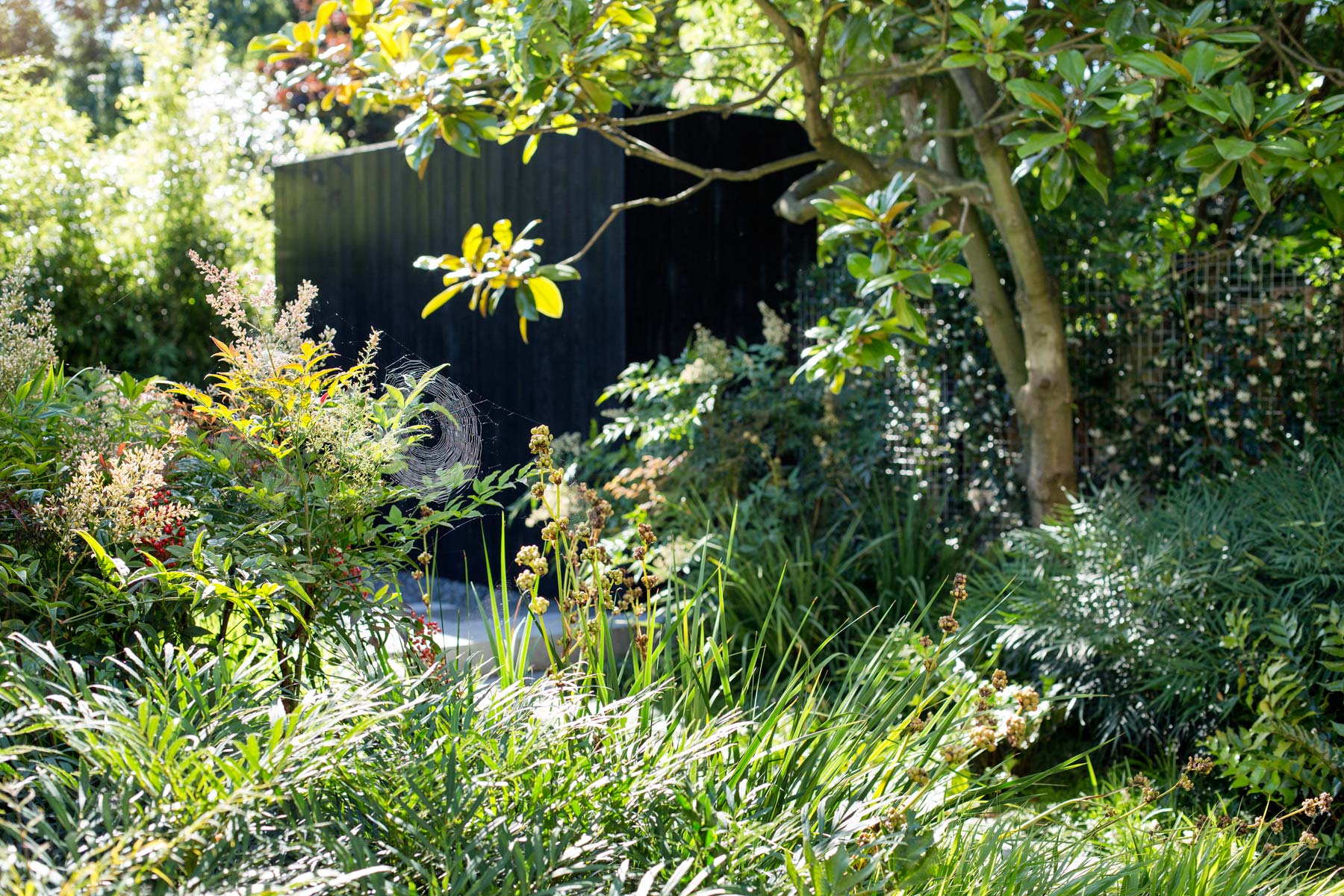 Peckham Garden - James Aldridge Landscape and Garden Design
